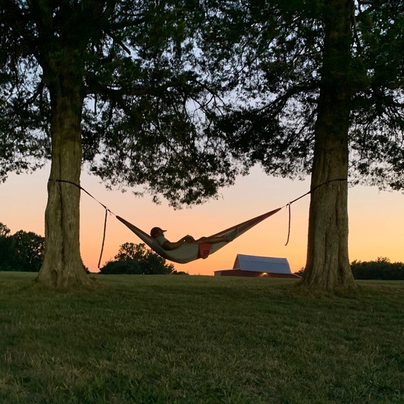 Meet your Posher, Curtis - Picture 1 of 1